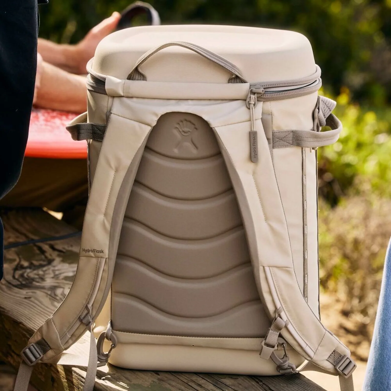 22L Carryout Backpack - Image 5